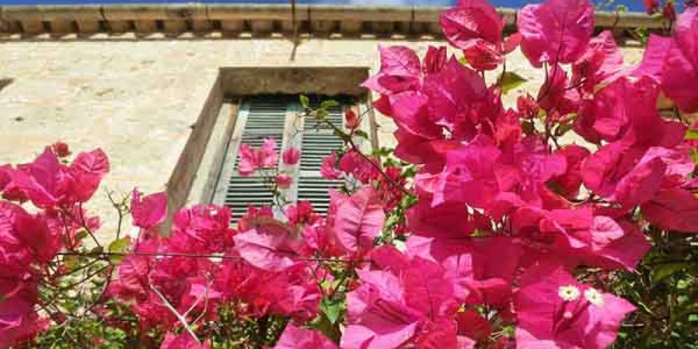 ¿Qué es una casa biológica?